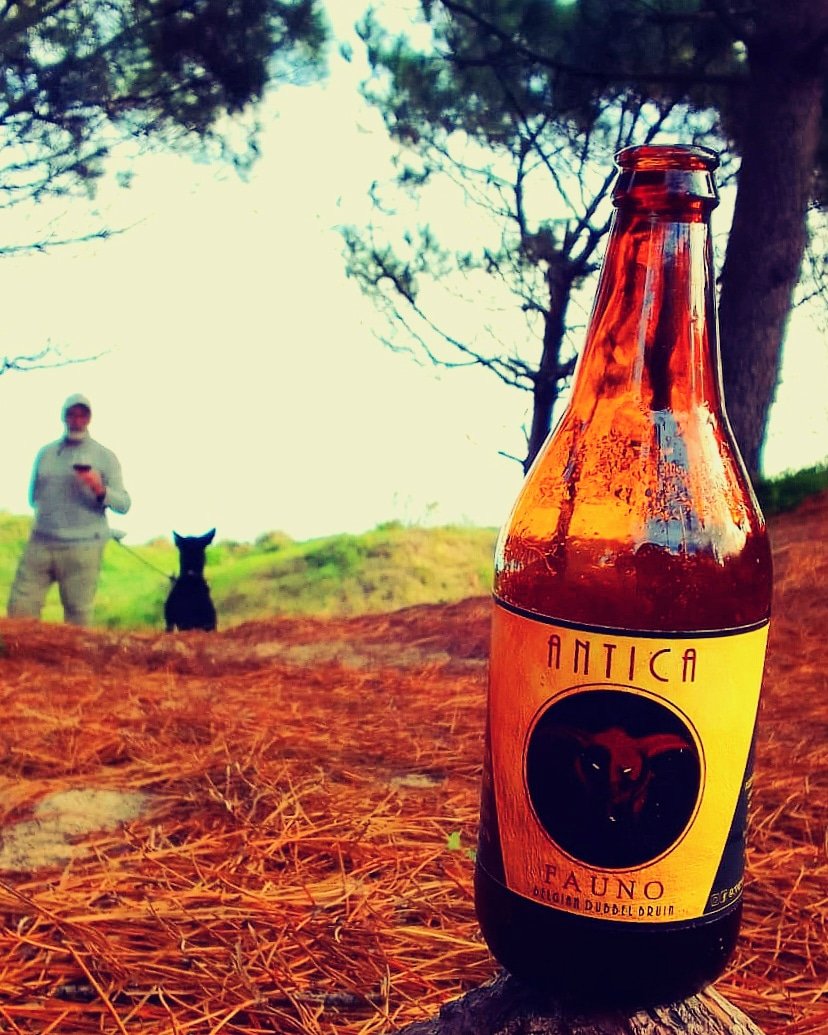 "Entre irse y quedarse duda el día,
enamorado de su transparencia.
En el centro de un ojo me descubro;
no me mira, me miro en su mirada.
Se disipa el instante. Sin moverme,
yo me quedo y me voy: soy una pausa." Octavio Paz
Vive tu experiencia ANTICA. 

Reserva por DM
o <a href="/birravauy/">Birravauy</a>