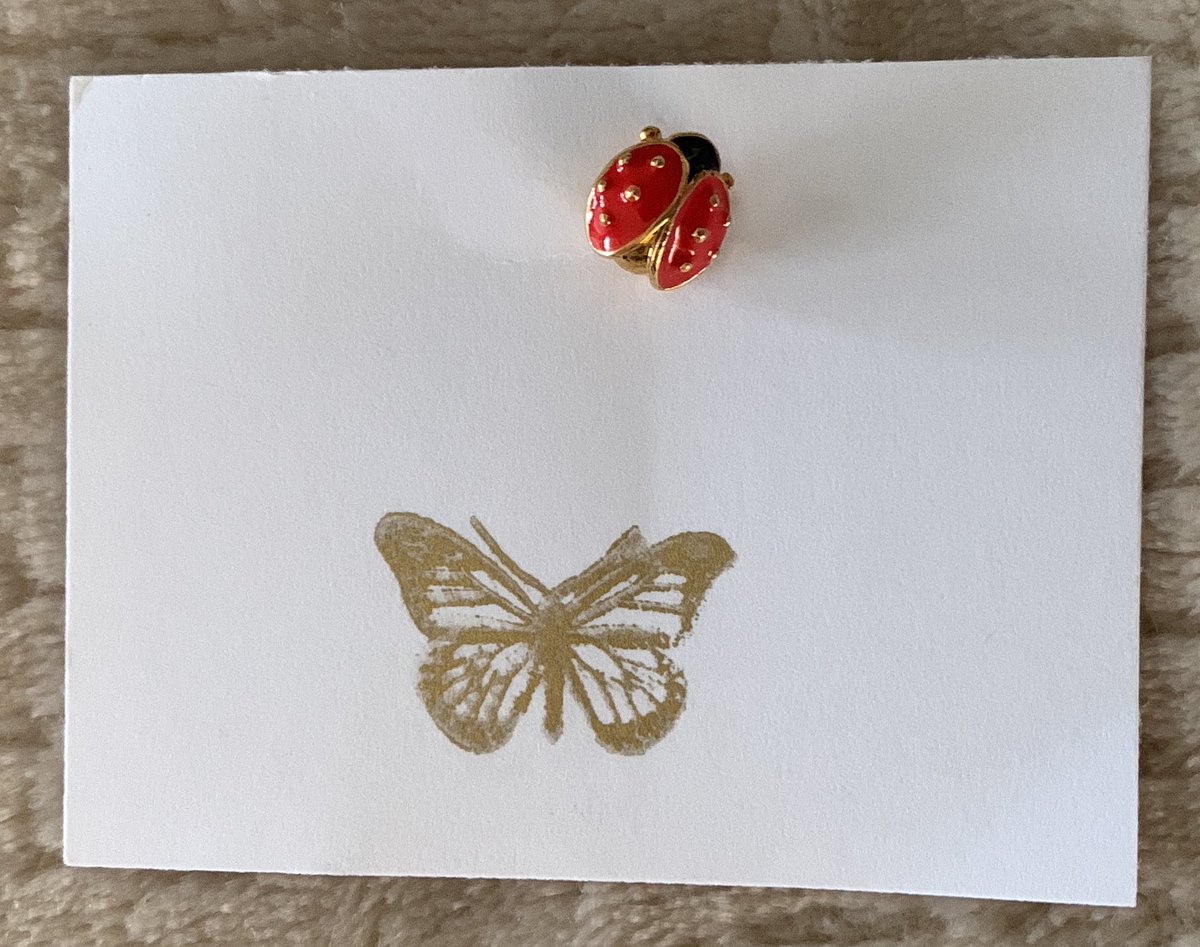 Tamme Manganelli tweet media