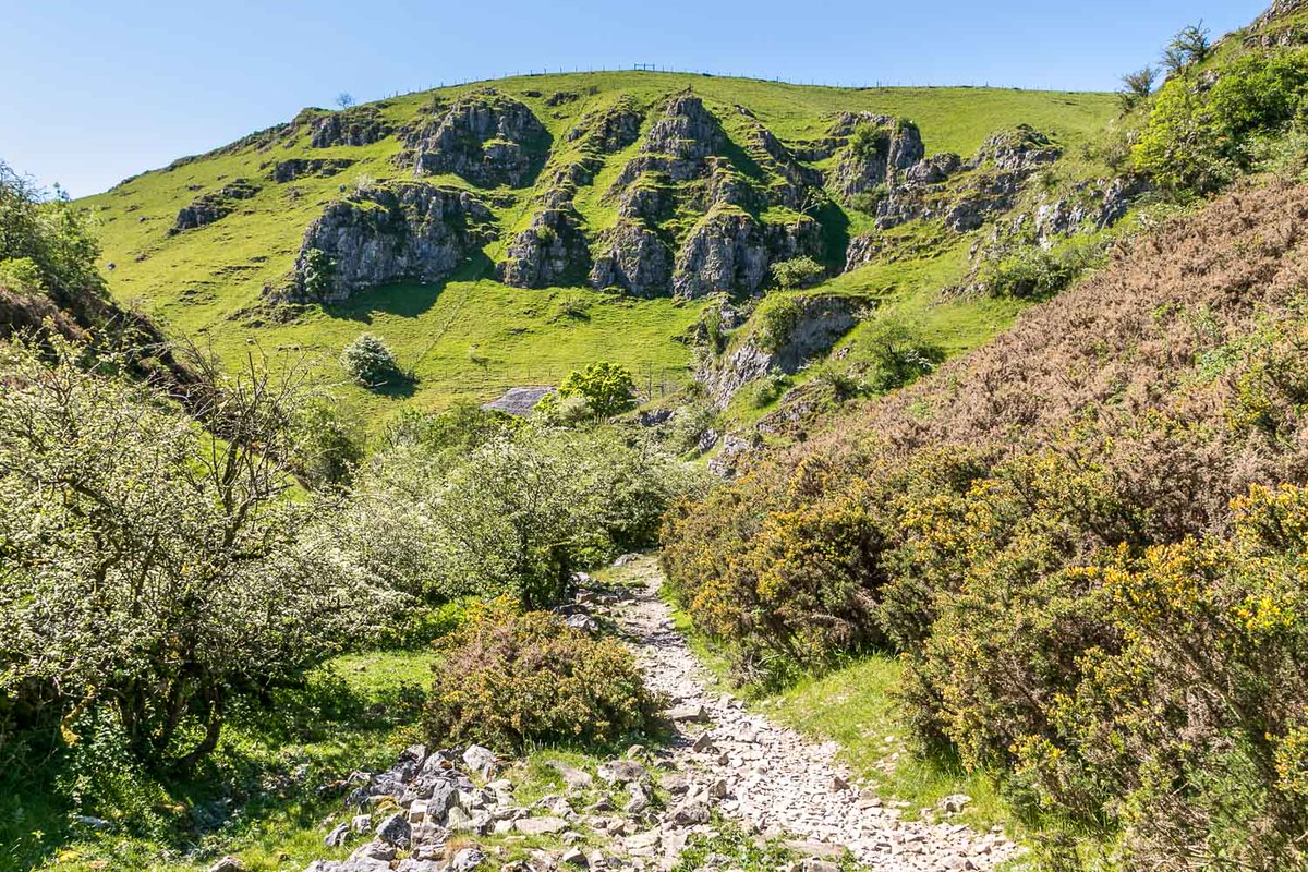 Andrew Locking on Twitter "A walk along Hartington Dales https