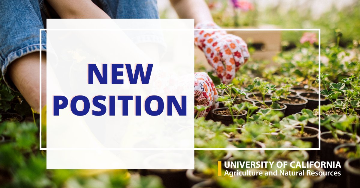 We're #hiring an Environmental Horticulture Area Advisor in #TulareCounty who will develop research-based information on the selection, placement, and care of trees and other landscape plants to mitigate the impacts of climate change. 
APPLY 🔽 
spr.ly/6013OLlLh