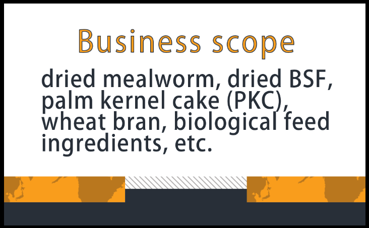 new business card# BSF#Mealworms