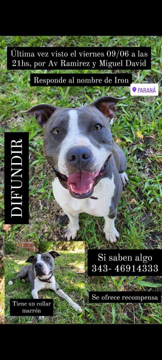 Franco02G98's tweet photo. Se agradece la difusión 😭 https://t.co/qgv5R6R0Zp