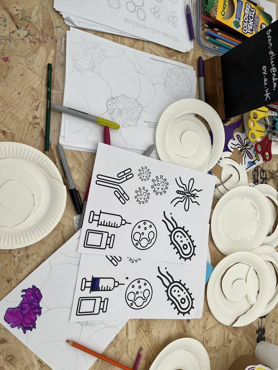SJVanders's tweet image. Another bumper day @cheltfestivals #cheltenhamscience with @OxfordVacGroup @NDMOxford making pathogen mobiles and talking about how #vaccines are made 🦠💉