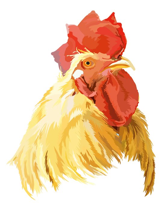 「animal chicken」 illustration images(Latest)｜5pages