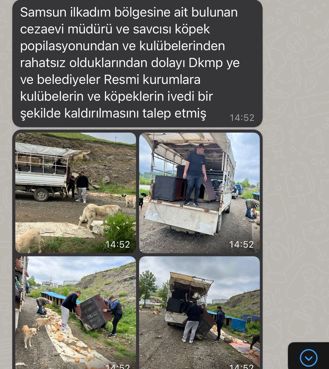 AvGulcinYapici's tweet photo. Samsun İlkadım bölgesindeki canlar için gelen ihbar bu 
Toplama başlamış 
#SokakHayvanlarıSahipsizDeğil 
@TCSamsunValilik @TC_icisleri @AliYerlikaya @adalet_bakanlik @SamsunDkmp https://t.co/vCjZTERGRu