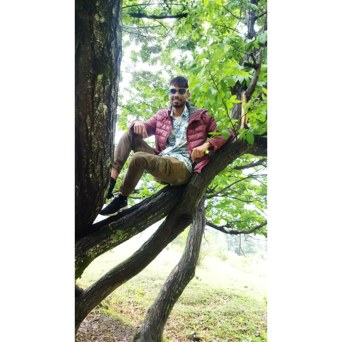 AadarshSem_Uk09's tweet photo. Be tranquil and keep going towards your goal.💙
#himalayasarecalling #chamoligarhwal #Uttarakhand #Bhavishyabadri #adarshsemwal https://t.co/B53EbNIHsu