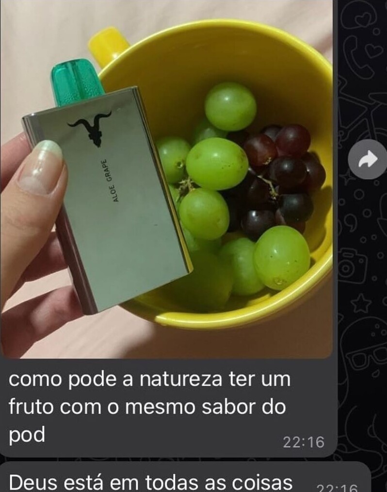 Shitpost só que de verdade (@shitpostverdade) on Twitter photo 