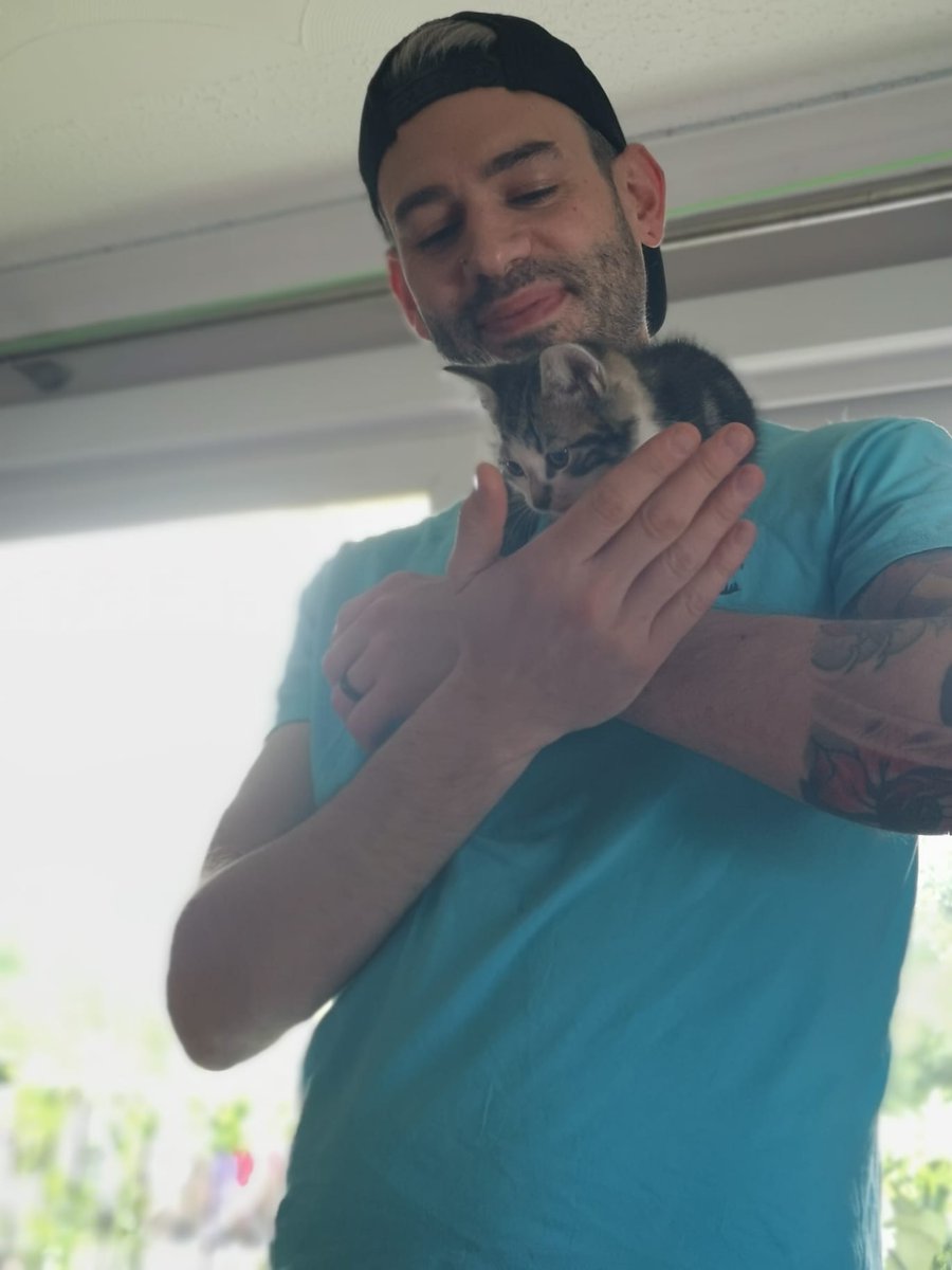 TheTomDune's tweet photo. The newest member of the Dune household. Everyone meet Beelz 😁 #demoncat #coolcat #kitten #spacecat #stephenlynch https://t.co/X3lGWR2DW7