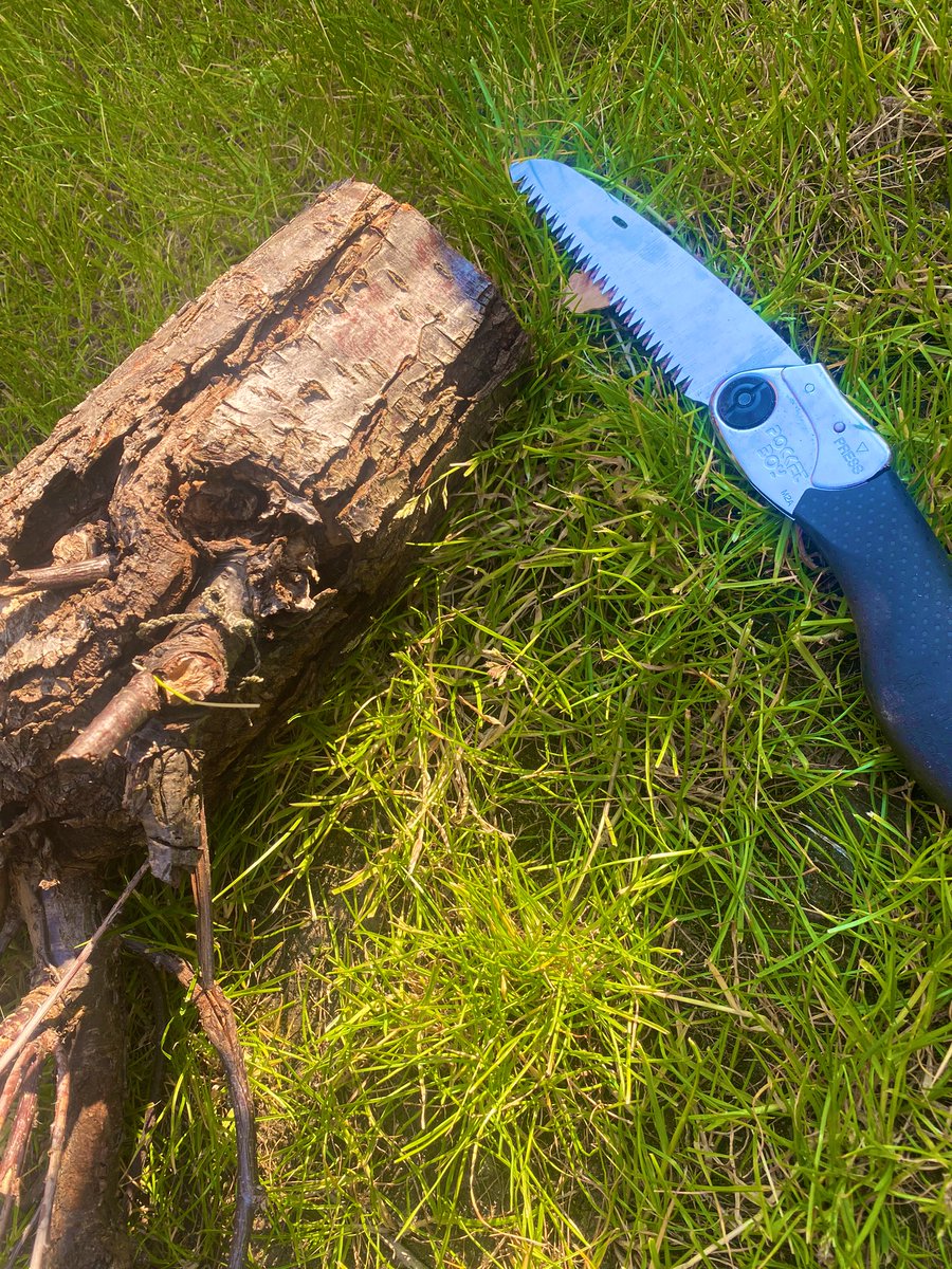 scoutedkatherin's tweet photo. Old bit of tree + sunshine + saws and drills= another activity for  Sc.out.Ed https://t.co/ECBucOK4Qp
