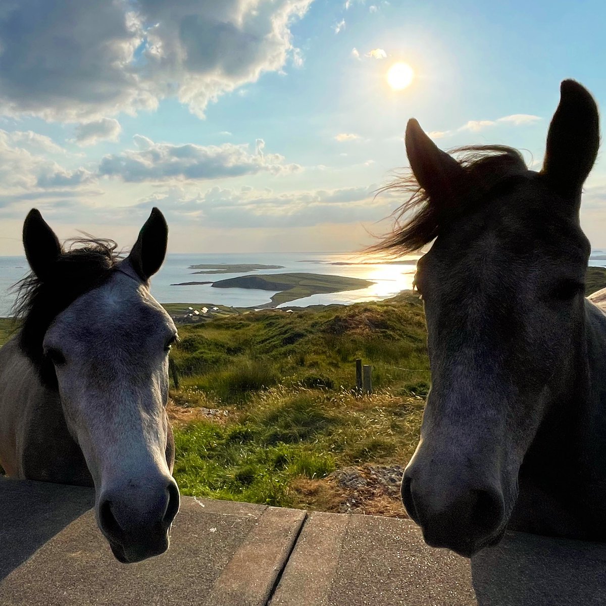 Together is a great place to be… Sky Road, Clifden, Co. Galway 🐴🐴🌤️ #HappyTogether #LoveGalway