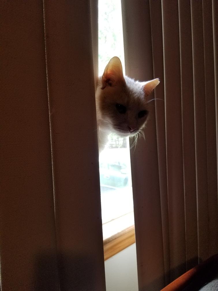 Tom peeking out!