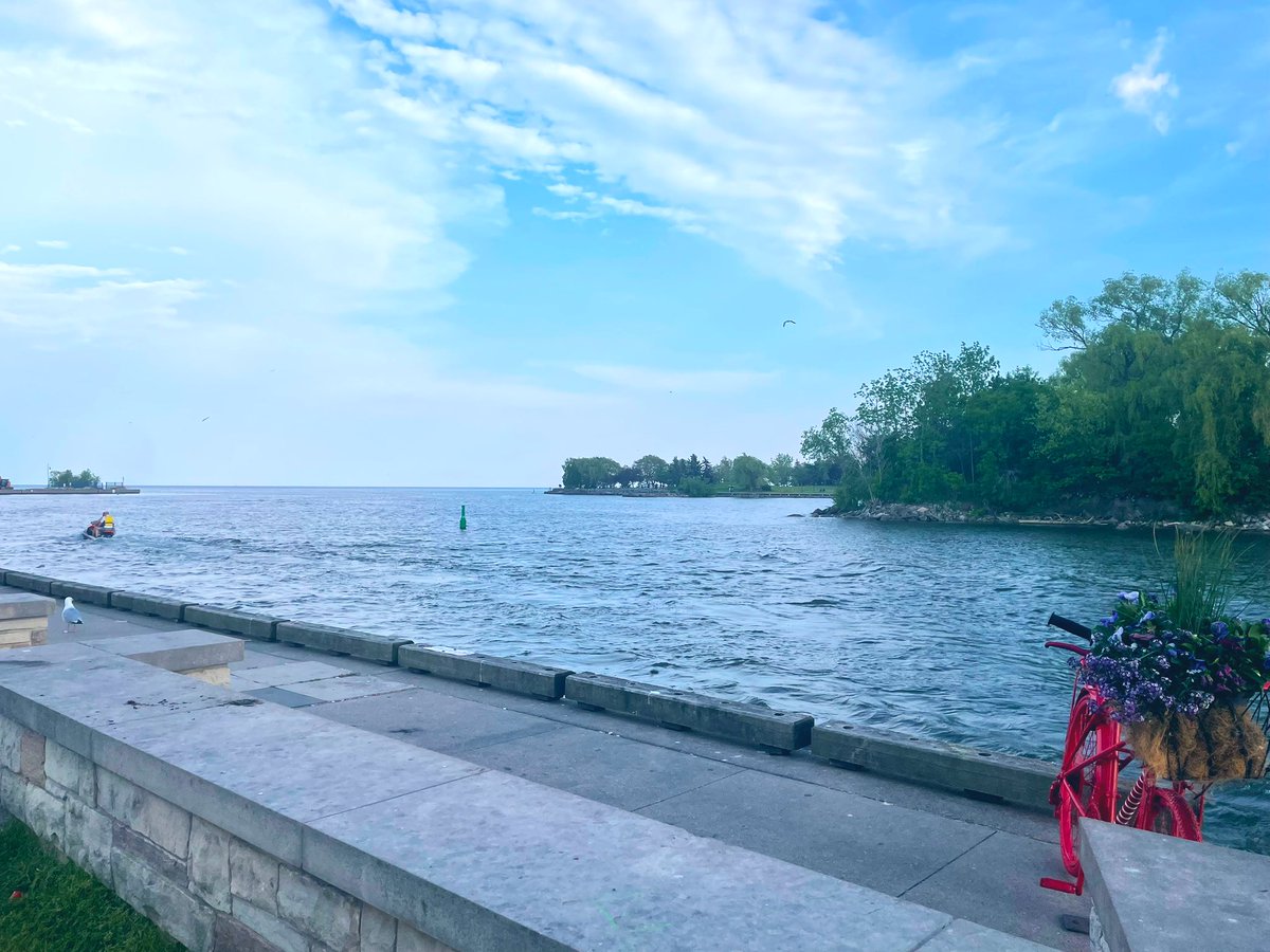 Wellness Saturday. Make sure to be out in nature today. Take a stroll near a body of water or surrounded by trees and gardens. #mentalhealth #wellness #MentalHealthMatters #MentalHealthAwareness #NatureLove #SupportEachOther