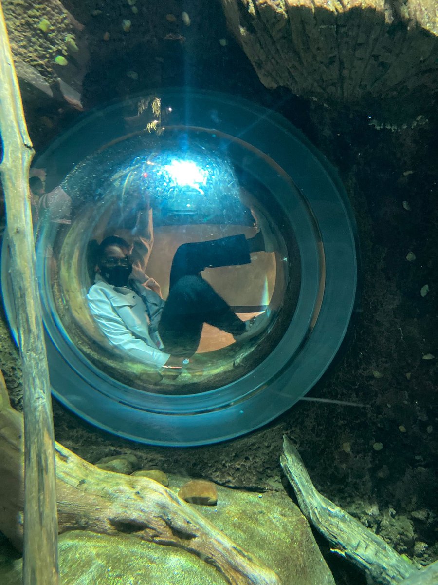 esa706's tweet photo. Had the best time at the #pedsconference2023 ! Thank you so much for organizing such a wonderful conference @AtlPedsResearch ! And thank you @FarnanSheila for being the best conference partner a gal could ask for!☺️ AND thank you @GeorgiaAquarium for hosting!! https://t.co/8k9hp55vw0
