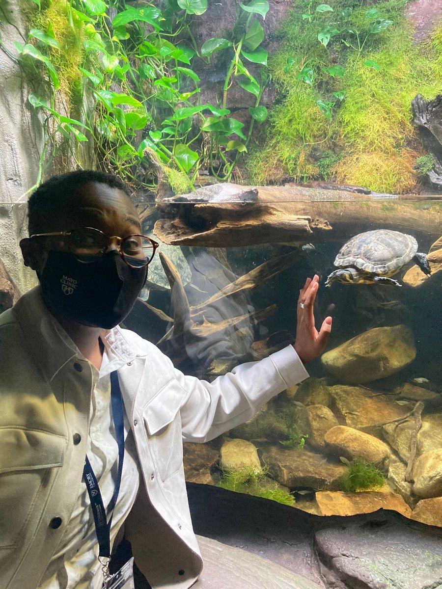 esa706's tweet photo. Had the best time at the #pedsconference2023 ! Thank you so much for organizing such a wonderful conference @AtlPedsResearch ! And thank you @FarnanSheila for being the best conference partner a gal could ask for!☺️ AND thank you @GeorgiaAquarium for hosting!! https://t.co/8k9hp55vw0