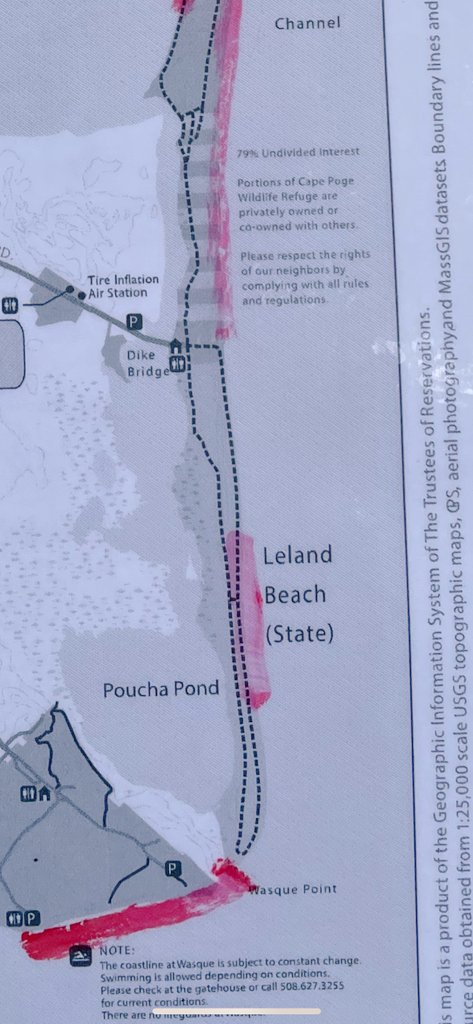 TheTrusteesMV's tweet image. #PIPLhatch # beachupdatesMV. We&apos;ve had a piping plover hatch on Leland beach OSV trail. Ease see updated maps for OSV restrictions in red.