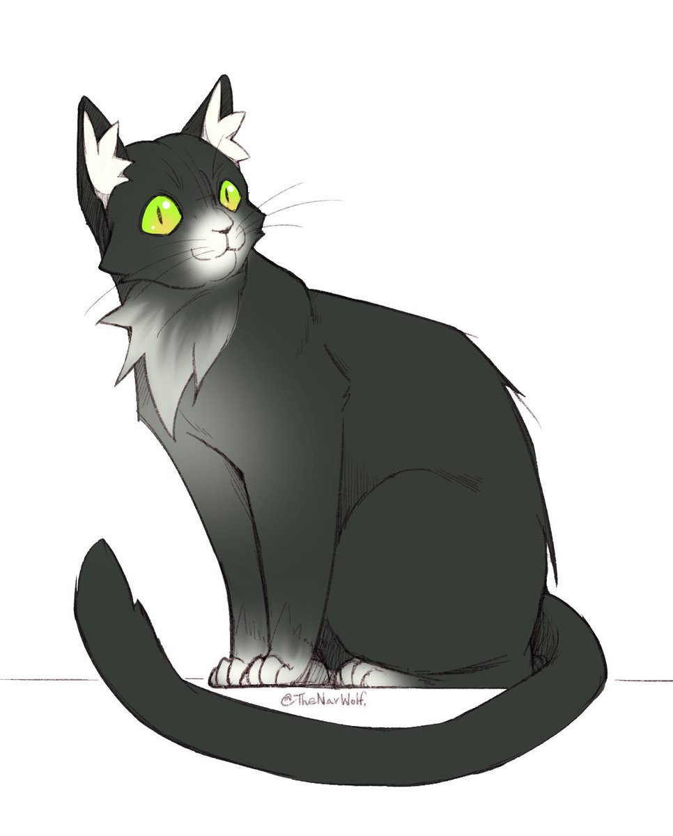 Ches The Stray Cat (หลังจอวุ่น ทุบก้บเดธไลน์) tweet media
