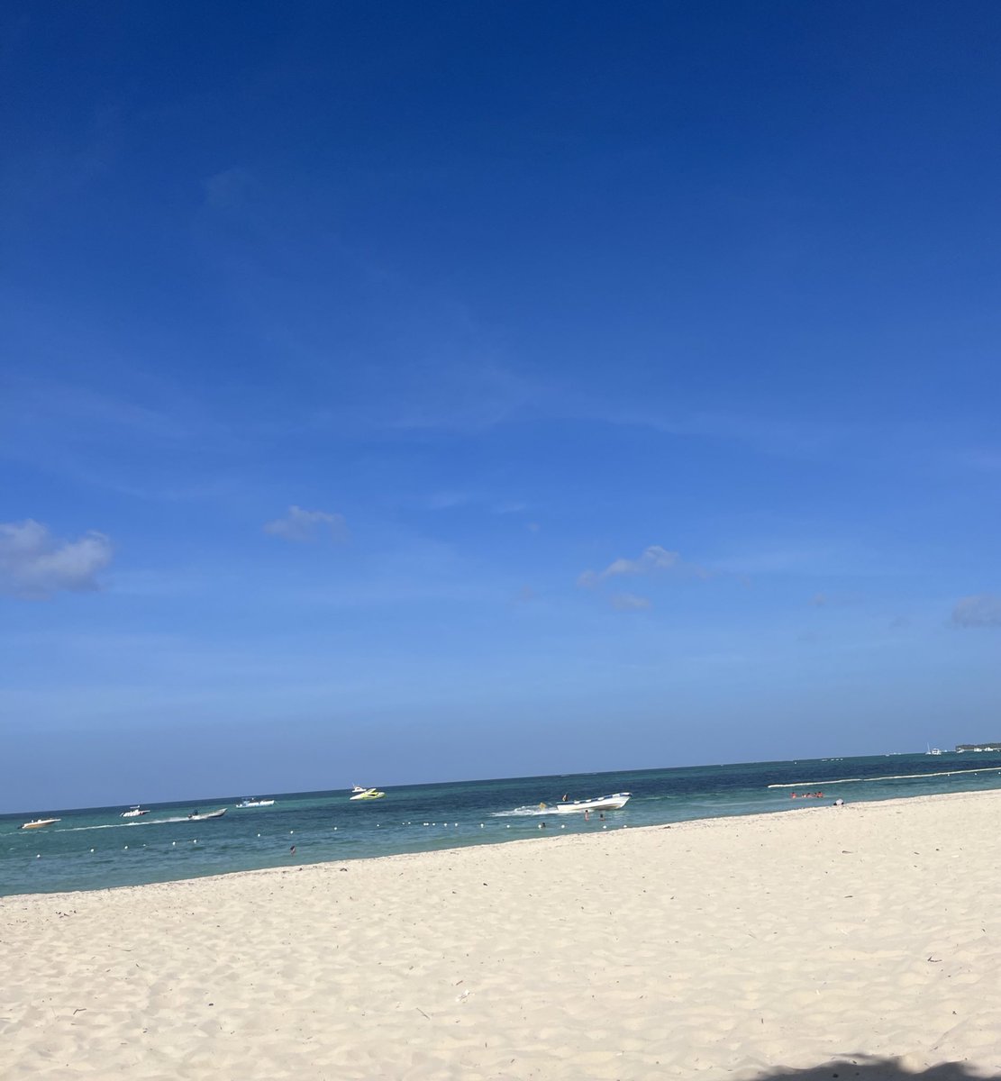 LauraRestituyo's tweet photo. 📍Happy place https://t.co/8oH3UKbvcT