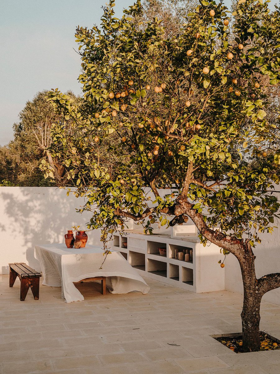 NATALIALABEL's tweet photo. I’m in love with this beautiful converted farmhouse in Southern Italy. Heaven. https://t.co/2MeLT1g98A
