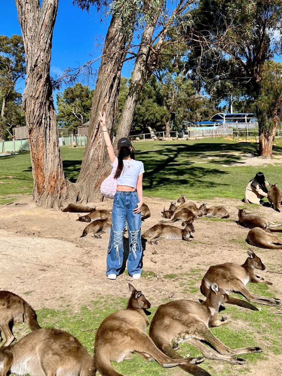 MFripi's tweet photo. Australia Zoo｜I am surrounded by kangaroos 😱
I'm grateful to my good friend for helping me take such a memorable photo😍 https://t.co/RLzfBINHAD