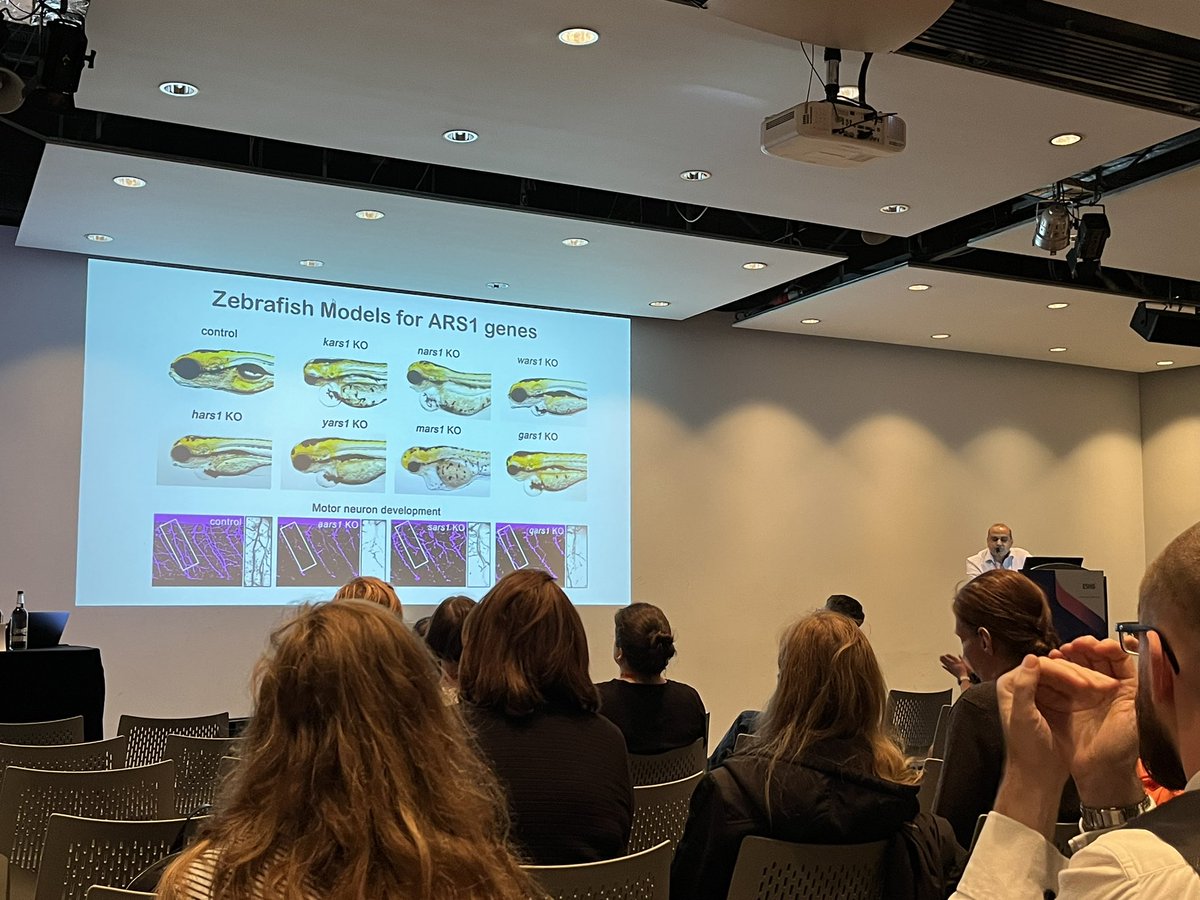 #eshg2023 tweeps: if you have patients with #ARS1 mutations, <a href="/varshneylab/">Gaurav</a> already likely has a #zebrafish model! DM one of us for more info! @eshg2023 <a href="/eshg_young/">eshg_young</a>