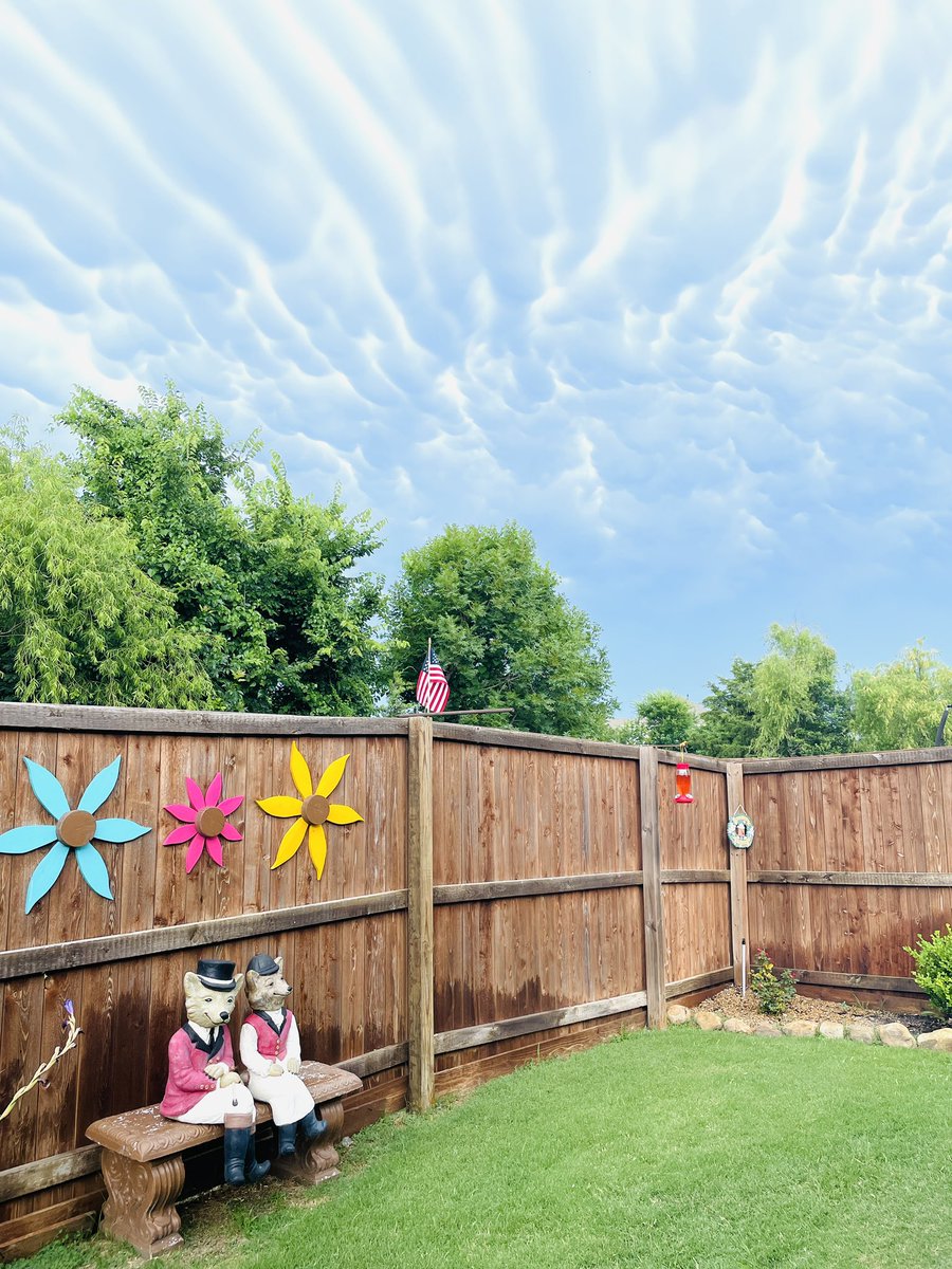 Cool looking clouds in Forney tonight.  Mr &amp; Mrs Fox are enjoying them! <a href="/RickMitchellWX/">Rick Mitchell</a> <a href="/NBCDFW/">NBC DFW</a> <a href="/NBCDFWWeather/">NBCDFW Weather</a>