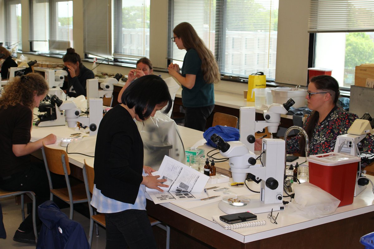 NiaziAamir777's tweet photo. It's been a fantastic first day at @QuebecRE3 short-course 'Taxonomy of key Bryophytes &amp; Lichen species useful in ecosystem restoration'. Excited for day-2 😊. https://t.co/TIOBYYfXIG