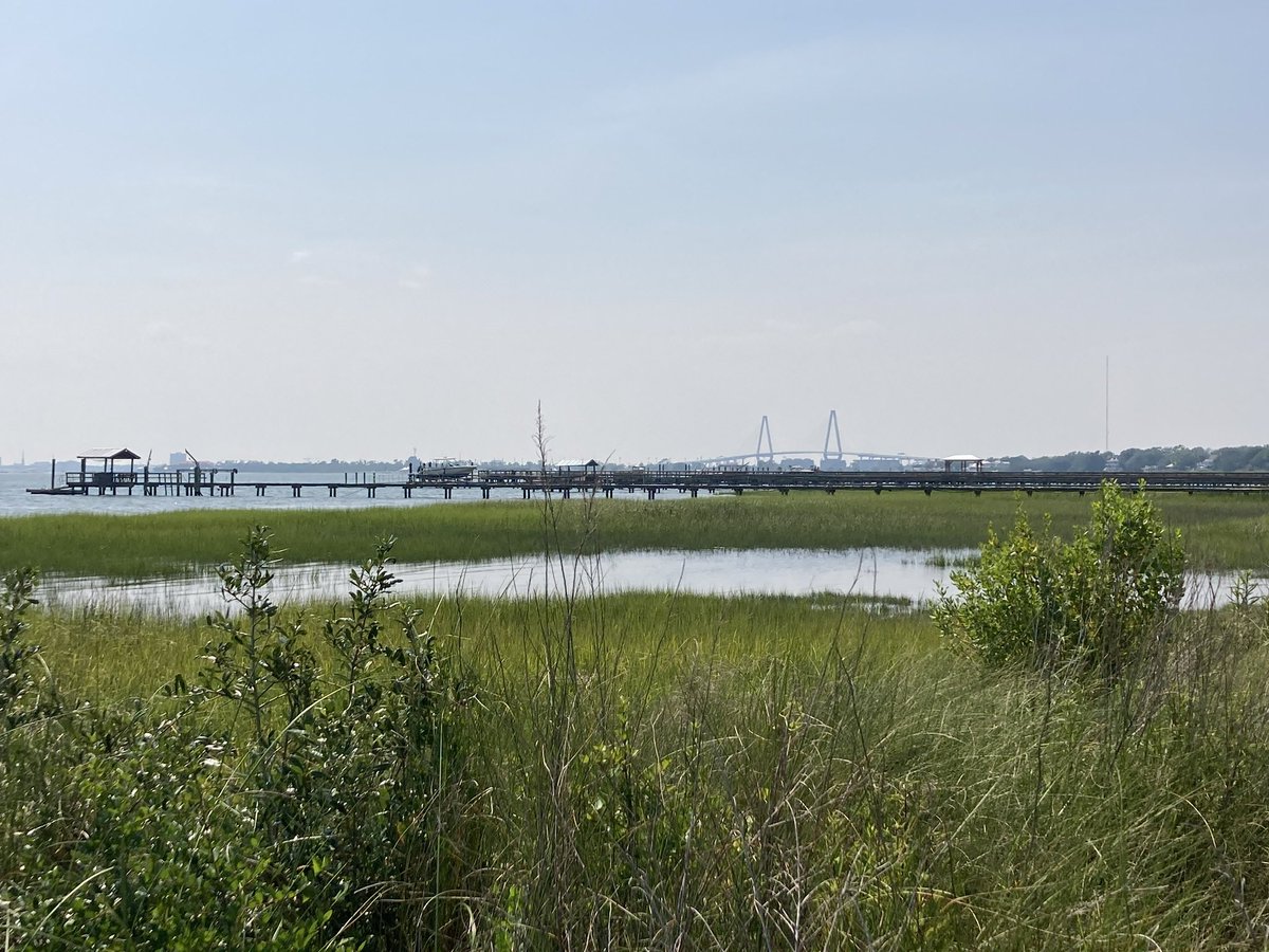 SCDawgette's tweet photo. Afternoon view of the #CHS Harbor.
Sunshine βοΈ is always good for the soul! π
#hazylazySaturday #SaturdayAftVibes #letmyweekendbegin https://t.co/O6TJkMxvwM