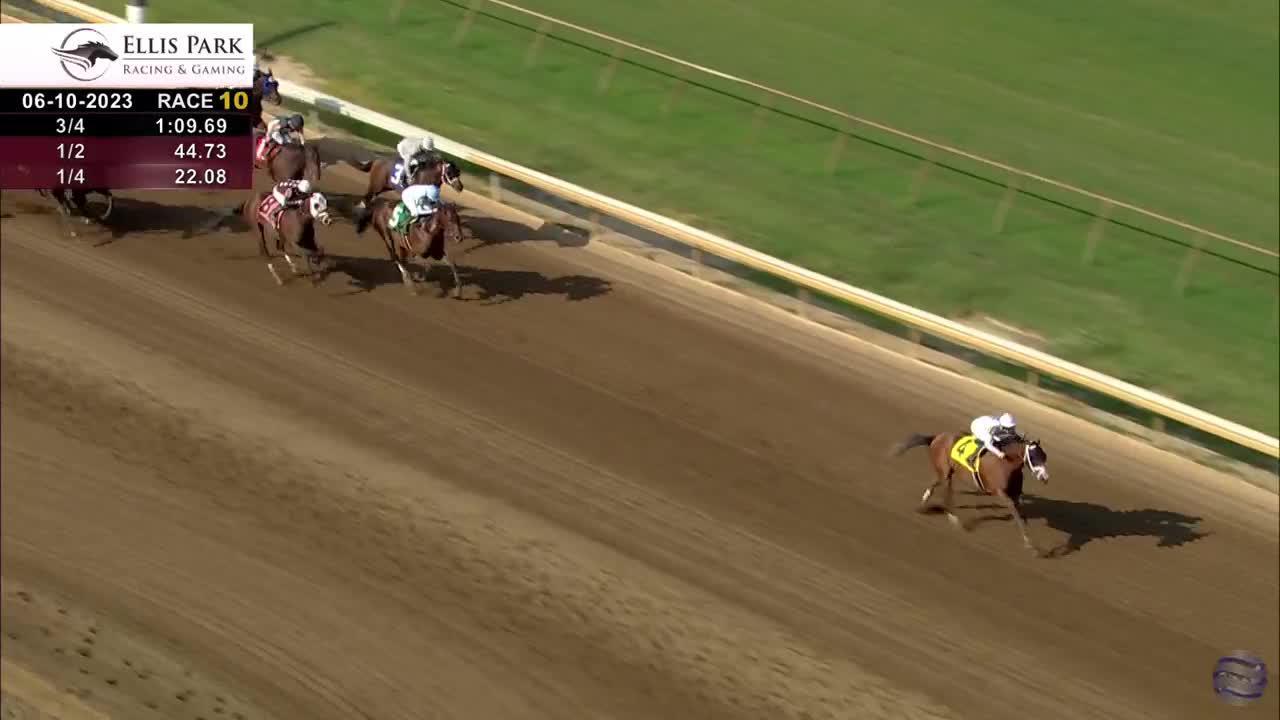 Ellis Park Racing & Gaming on Twitter "4️⃣ KyDerby grads are entered