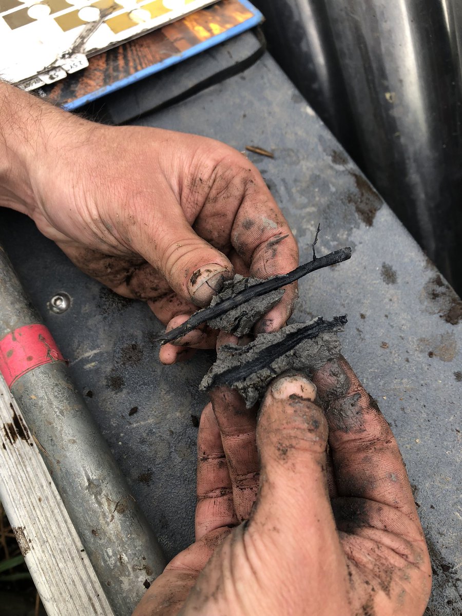 Marissa A. Dellinger tweet media