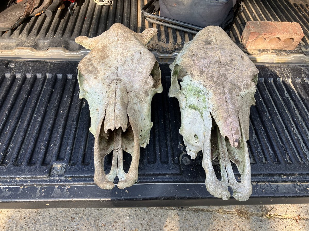 Fun day walking the river with some friends.