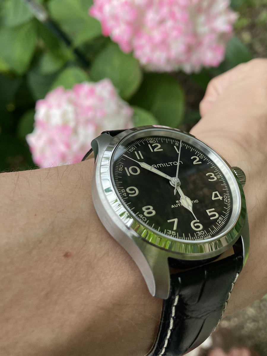 timepiece_taka's tweet photo. 今日は一日中雨ですね☔️
紫陽花をバックに腕時計をアップする方がたくさん見えたので真似ました
#Hamilton #khakifield #murphwatch
#ハミルトン #マーフウォッチ https://t.co/cYFP6QKC3k