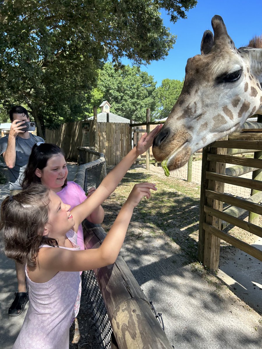 Nancy Danielides tweet media