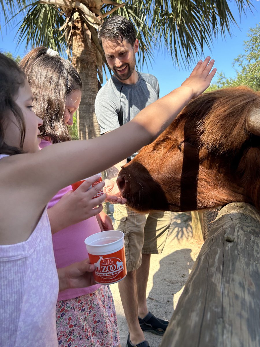 Nancy Danielides tweet media