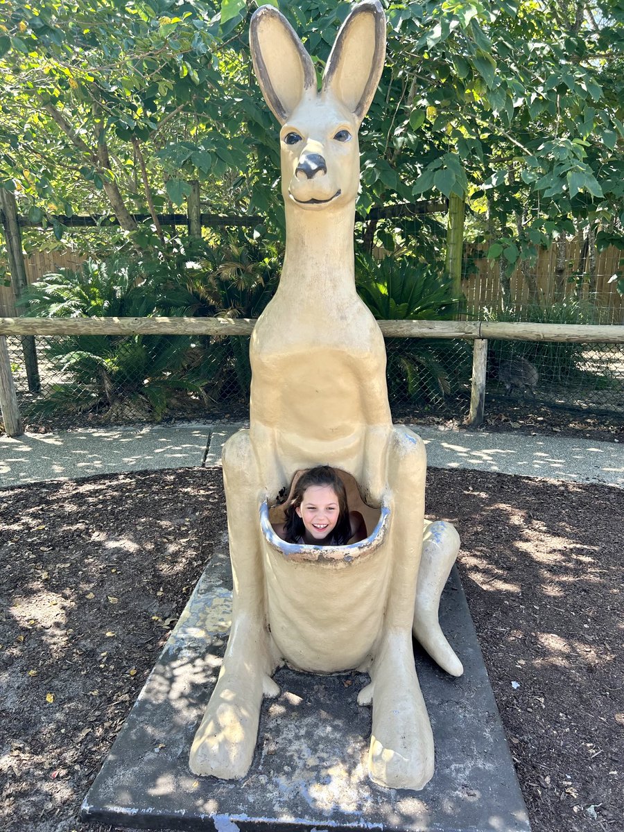 Nancy Danielides tweet media