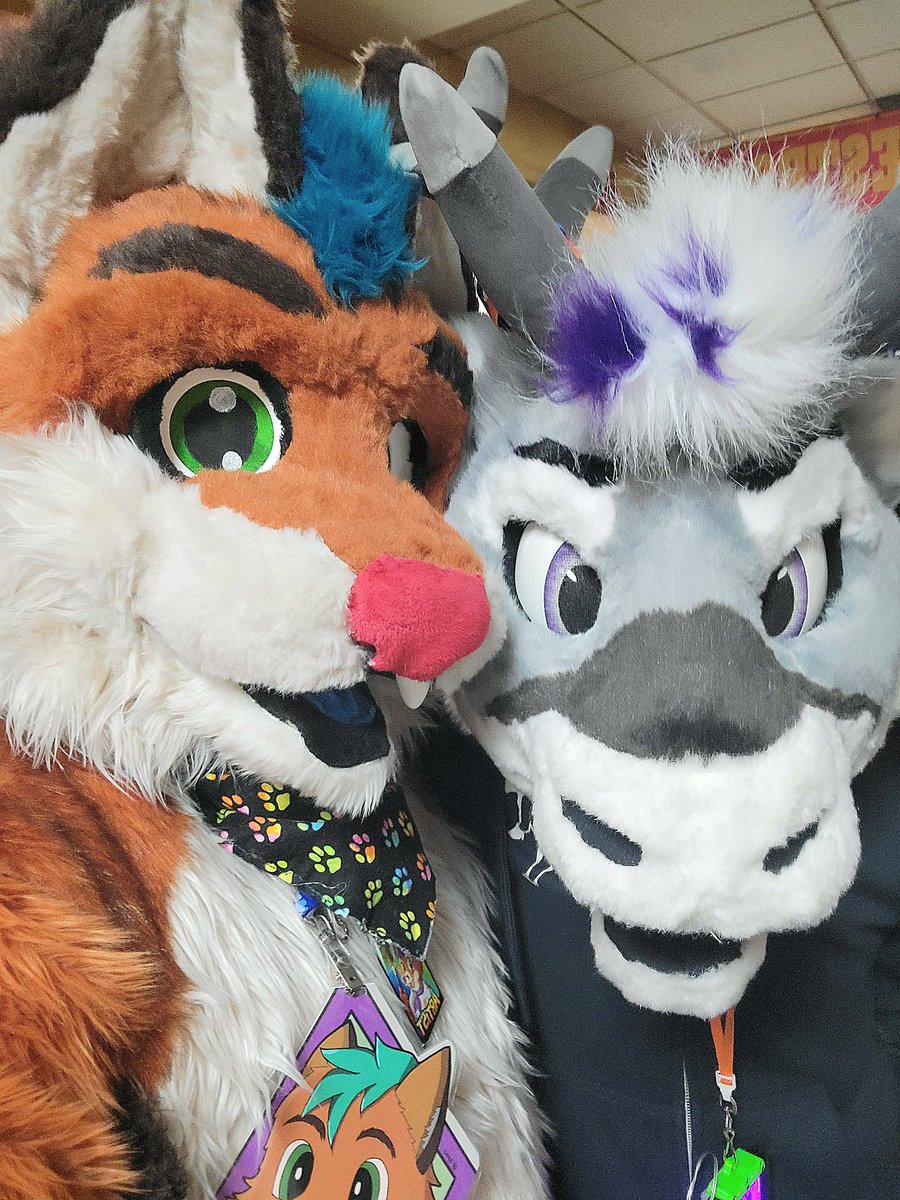 thefurrybarista's tweet photo. Furbowl time!! Hanging out with frens and saying hi to everyone! Happy Pride! ๐ณ๏ธโ๐๐ณ #fursuit #WFS45 #fursuiting #fursuits #furryfandom https://t.co/lR2RVpyHKl
