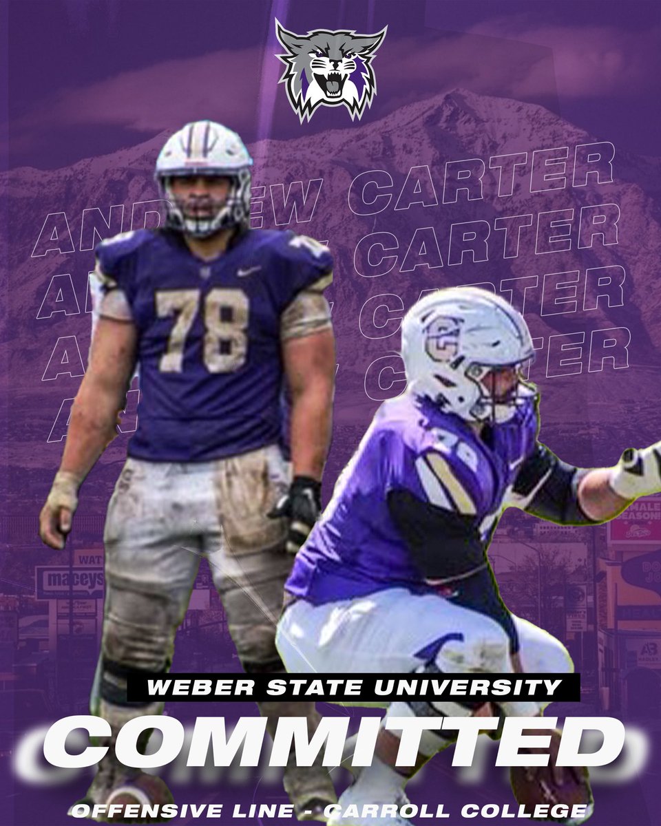 Andrew Carter tweet media