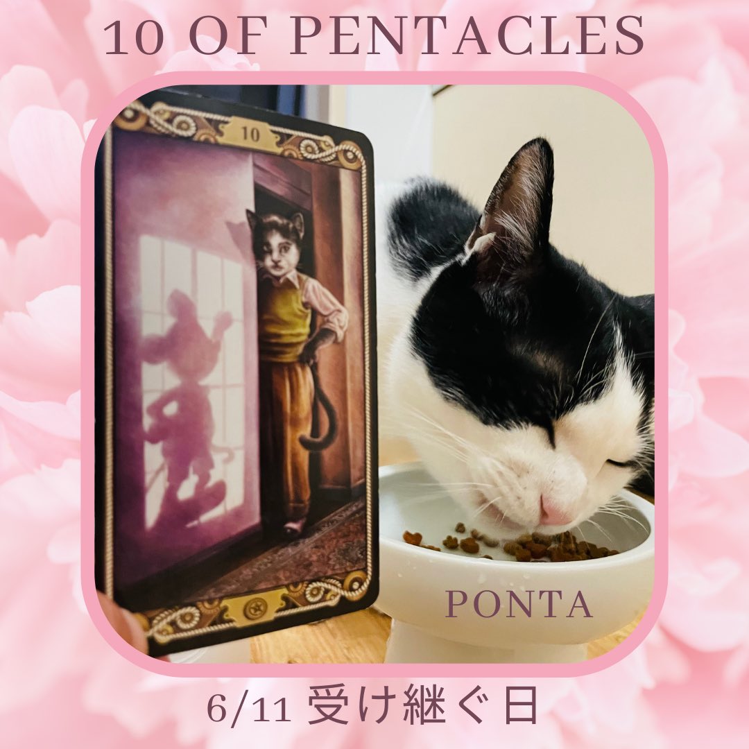 oraclerinko's tweet photo. 6/11受け継ぐ日🤲誰かからお金や技をもらいそれを生かしていく日。そのおかげで生活が豊かになりその豊かさを周囲に引き継ぐことができるでしょう🤝あなたができる役目を勤めて豊かさを広げていきましょう🤗 #10ofPENTACLES #今ちょっと忙しいニャ #タロット #猫 https://t.co/Vau8mzdHjQ