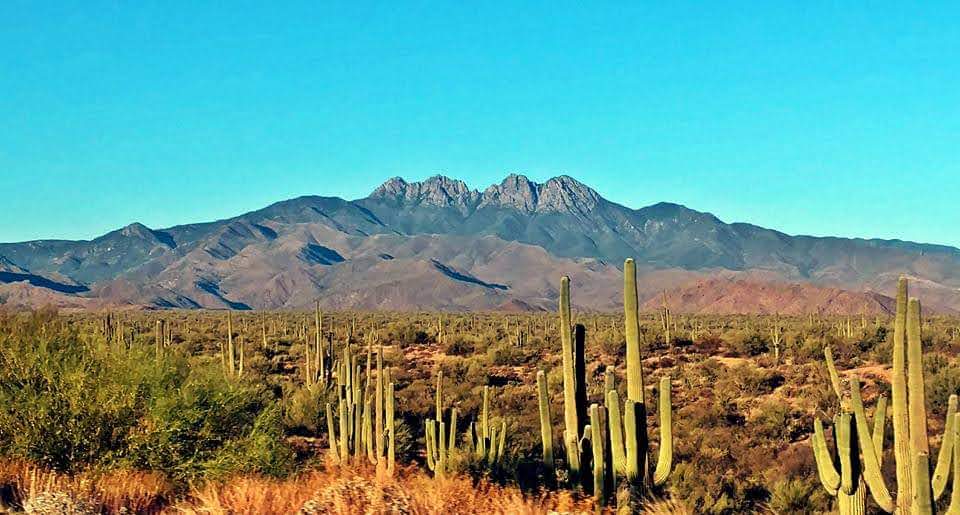 TheRealThelmaJohnson tweet media