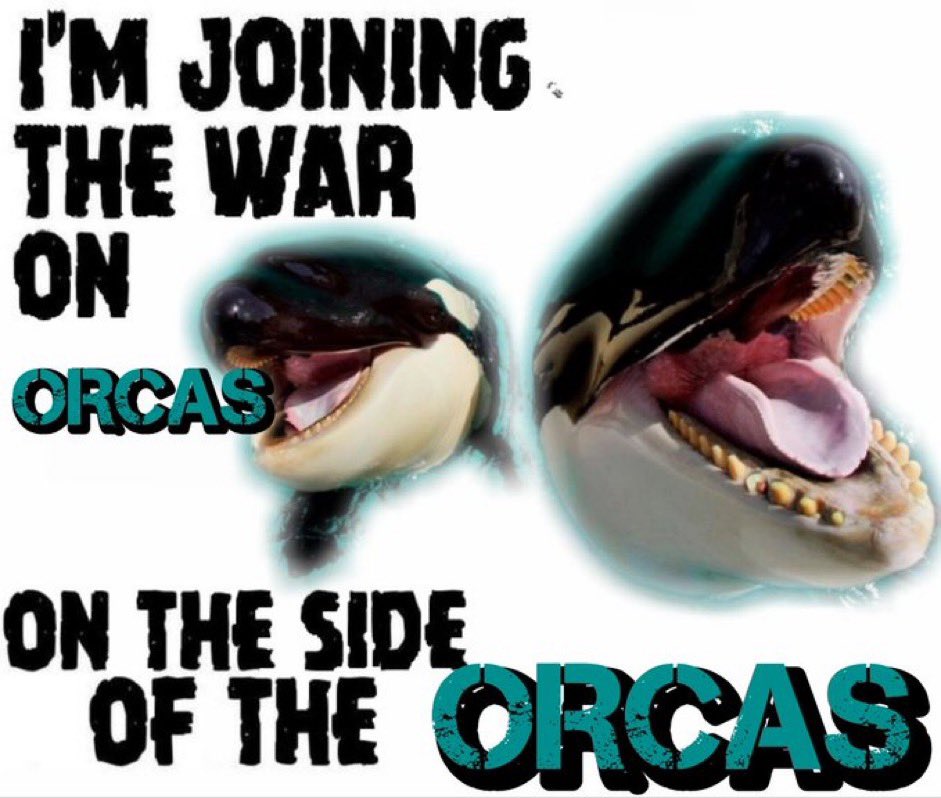 paintmakerswhat's tweet photo. W ORCAS GRAAAAHHHH https://t.co/iwAgM0huyb