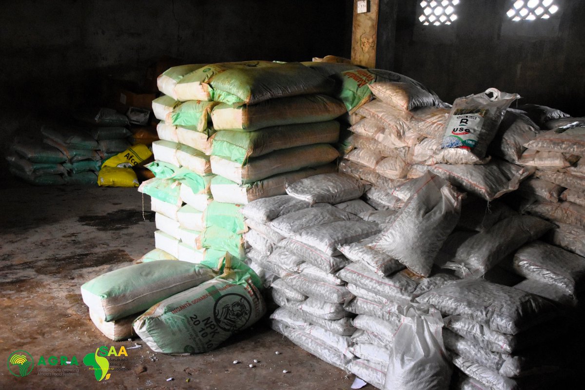 NigeriaSasakawa's tweet image. Today the distribution of #farminputs for the 2023 wet F/season by the @AGRA_Africa Niger Consortium continued in Bida Zone, comprising Bida, Katcha, Mokwa, Edati, Lavu, Borgu, Agwara, Gbako  &amp;amp; Agaie LGAs towards upscaling productivity, incomes &amp;amp; livelihoods of SmallH/farmers.