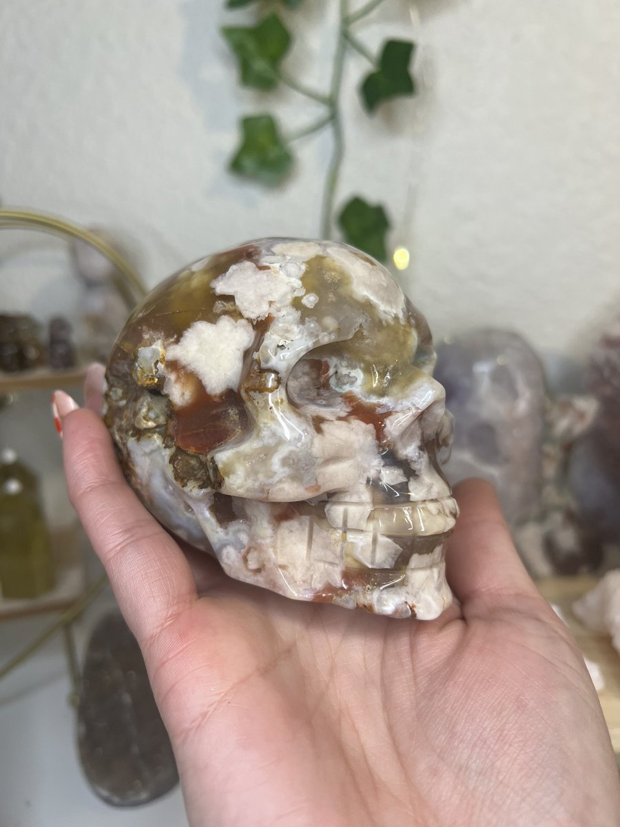 maddieforte's tweet photo. Actually listed on my website instead of WhatNot for once. Snag it before my live sale customers get a chance to see it. 🌸💀🤍

Cherry Blossom Agate Skull
#crystals #crystalhealing #floweragate

https://t.co/qSH6C0keB5 https://t.co/P8Q2ImSn4D