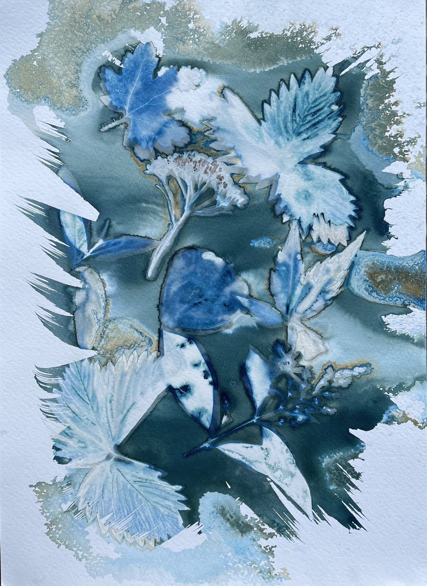 neil_piper_'s tweet photo. Inspired by @WendyAChapman and trying something new to me. Wet #cyanotype left to bake in the garden sun for 6hrs. https://t.co/BtU1JsSP9L