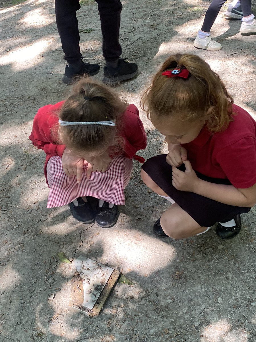 mrs_mcclare's tweet image. Yesterday, Class 6 had fantastic fun being scientists. We explored our local woodland habitat and looked at different microhabitats to see the creatures that lived there. Thank you Y6 for all you help! 🪱🕷️🐜🐌🪳🪵🍂🪨🪺@RedscopeSchool @MrsWalpoleC13 @MrsParmenter14