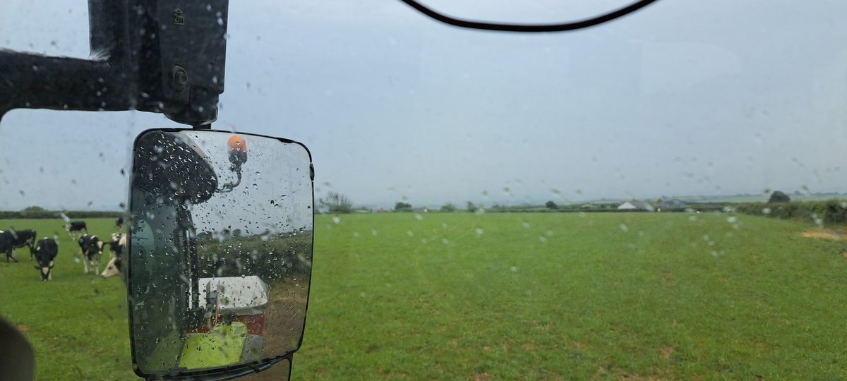 Michael Williams tweet media