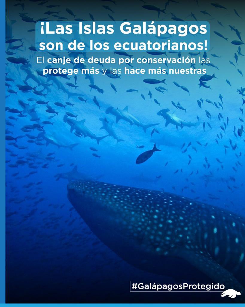 @FrenteInsularRMG (@frenteinsularr1) on Twitter photo Nuestras islas son y serán ecuatorianas.
El mundo lo sabe y se suma para cuidarlo día a día.Nuestra soberanía está intacta como nuestro patrimonio.
Lo hicieron en el pasado y lo hacen nuevamente, desinformar a la comunidad.
<a href="/ONU_es/">Naciones Unidas</a> Nuestras islas son y serán ecuatorianas.
El mundo lo sabe y se suma para cuidarlo día a día.Nuestra soberanía está intacta como nuestro patrimonio.
Lo hicieron en el pasado y lo hacen nuevamente, desinformar a la comunidad.
<a href="/ONU_es/">Naciones Unidas</a>