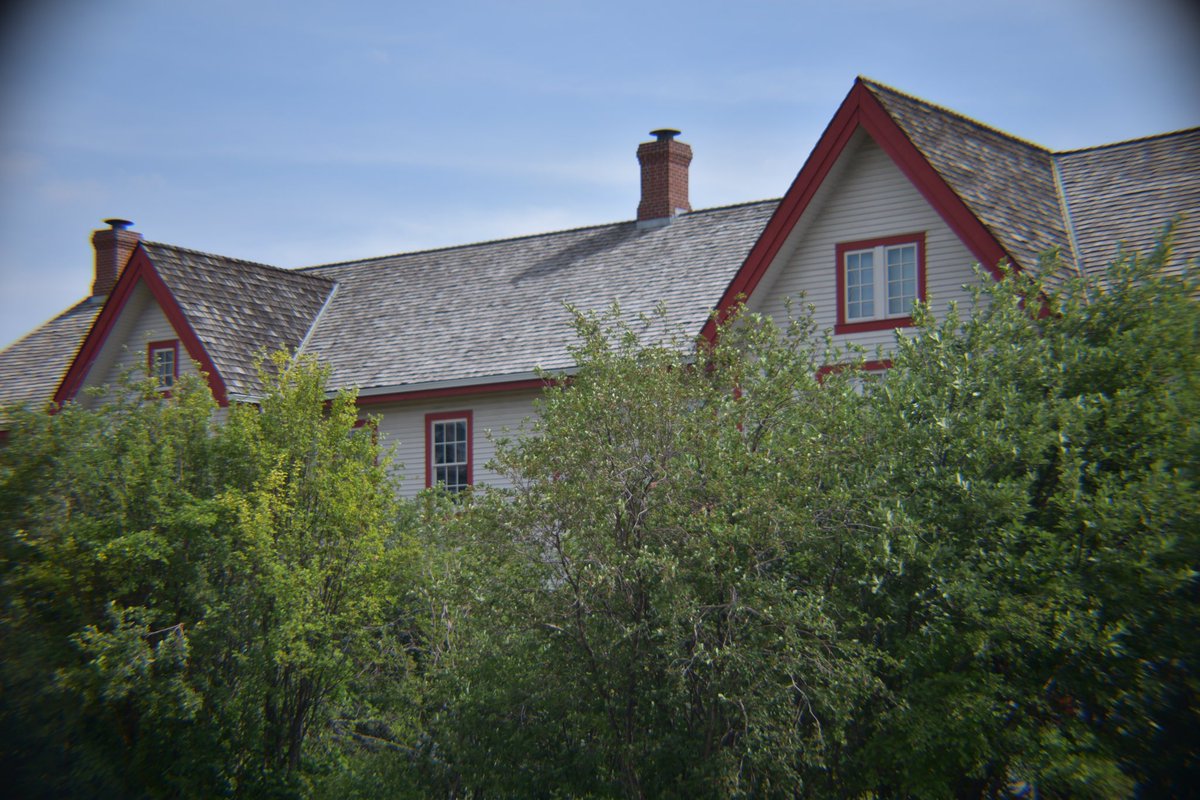 Auðr kit come home on Twitter "Location Fort Calgary, Alberta, Canada"