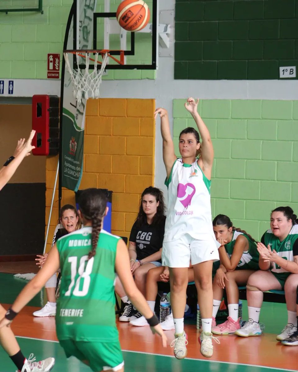 Federación Canaria de Baloncesto tweet media