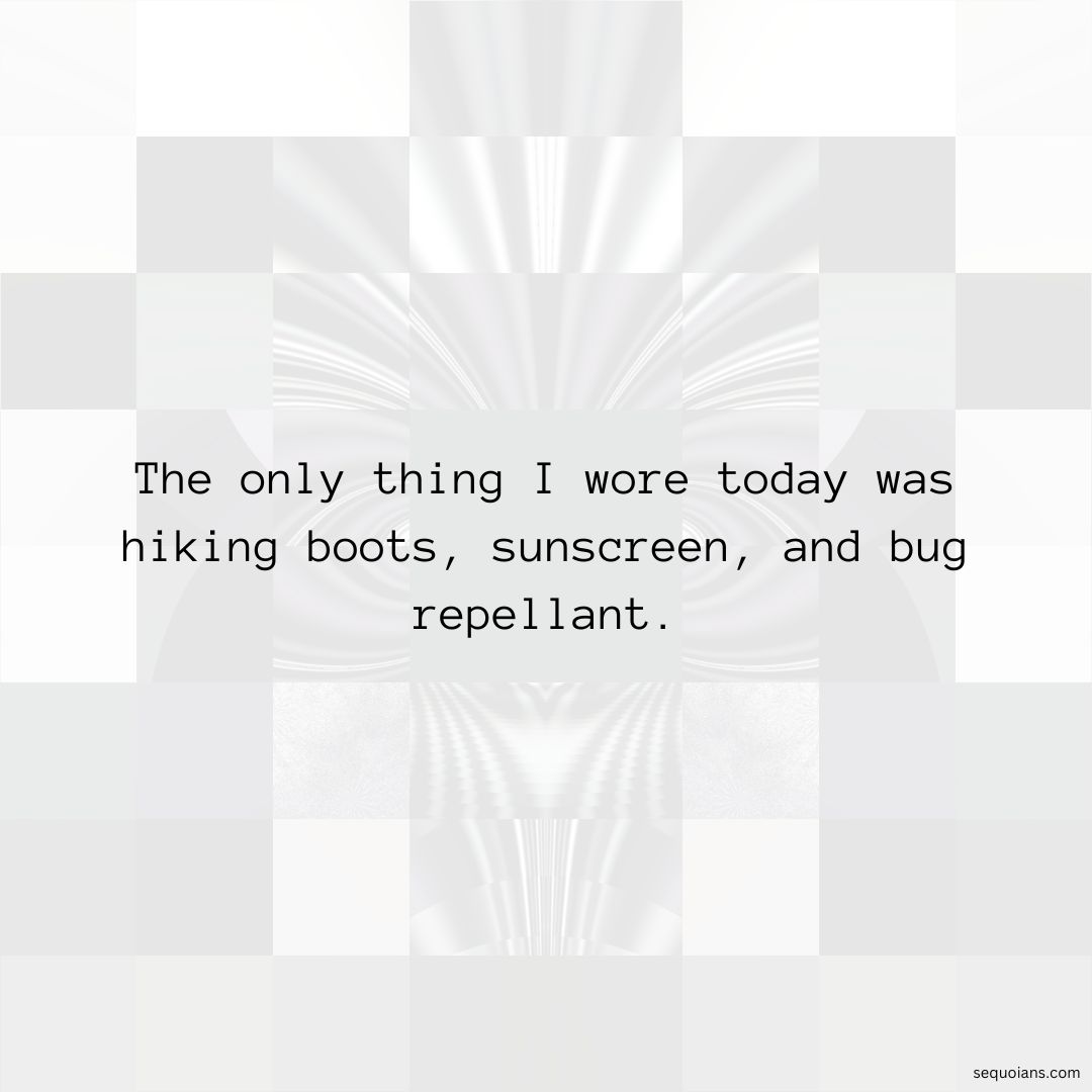 TheSequoians's tweet image. Unbounded and free! 🌲 Today I'm swapping out my clothes for nature–just boots, sunscreen, and bug repellant. Skip the trends and enjoy all that nature has to offer! #NatureLover #Outdoorsy #AdventureAwakens rb.gy/g8yu0