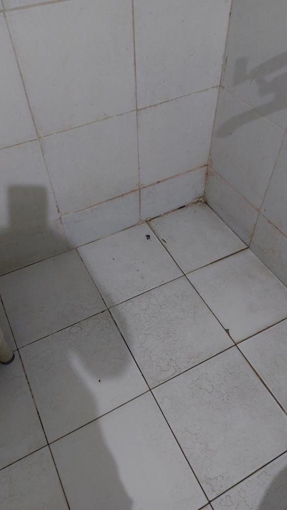 rs_rajeshwar's tweet photo. @HelloMTDC Untidy rooms,  dusty furniture,  unhygienic toilet and centipede in the WC..Above all frequent power cuts leaving the guest in dark and sweating. Thanks for your hospitality. https://t.co/4Es5WA3czl