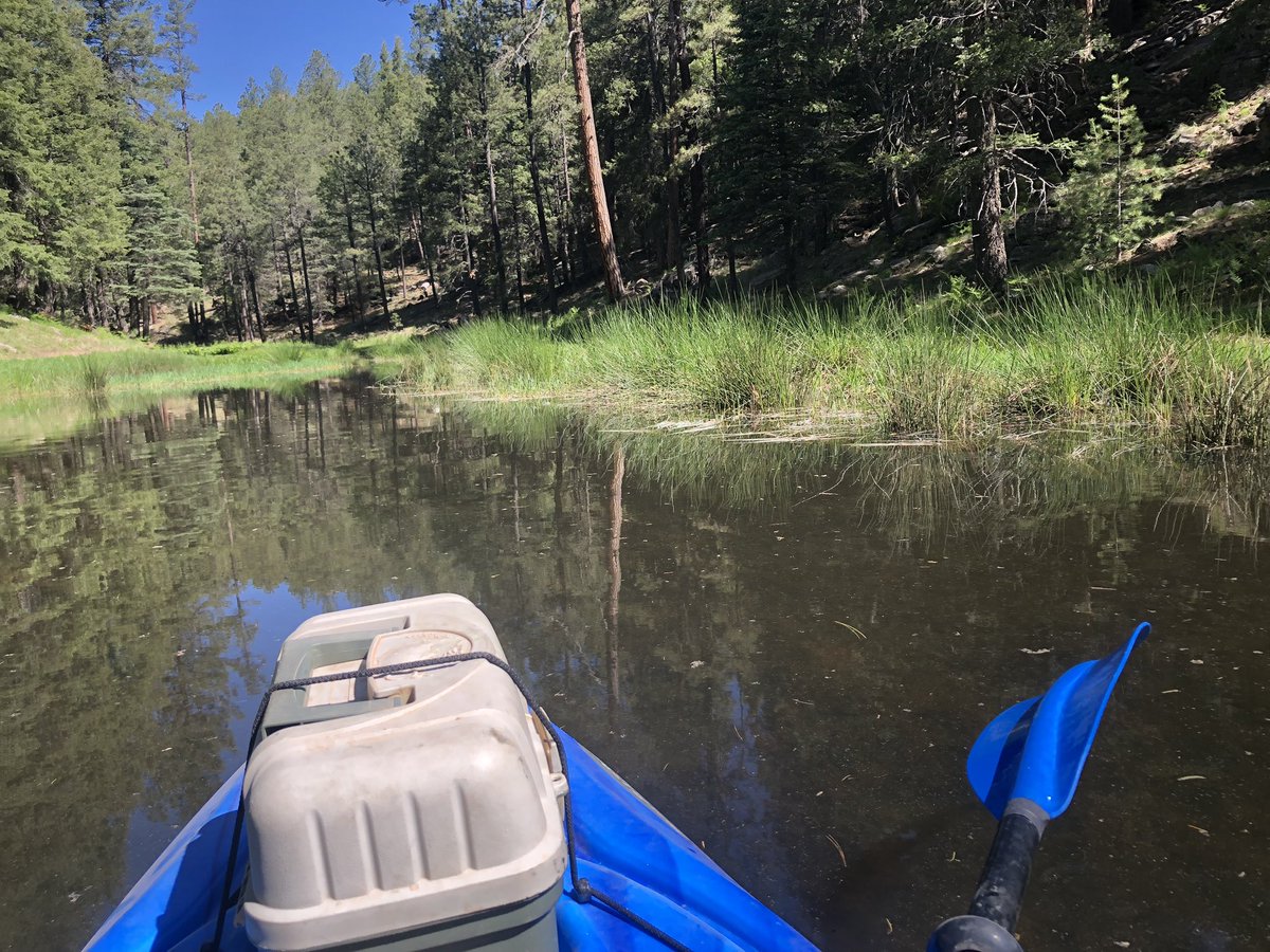 ValleyOopsie's tweet photo. Spent this last week up on the rim. Biggest fish I’ve seen up there in 20 years! #arizonaisbeautiful #ArizonaBorn #valleynative https://t.co/BFZIlR9eci
